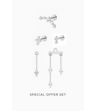 Pluie d'étoile argentée (droite)